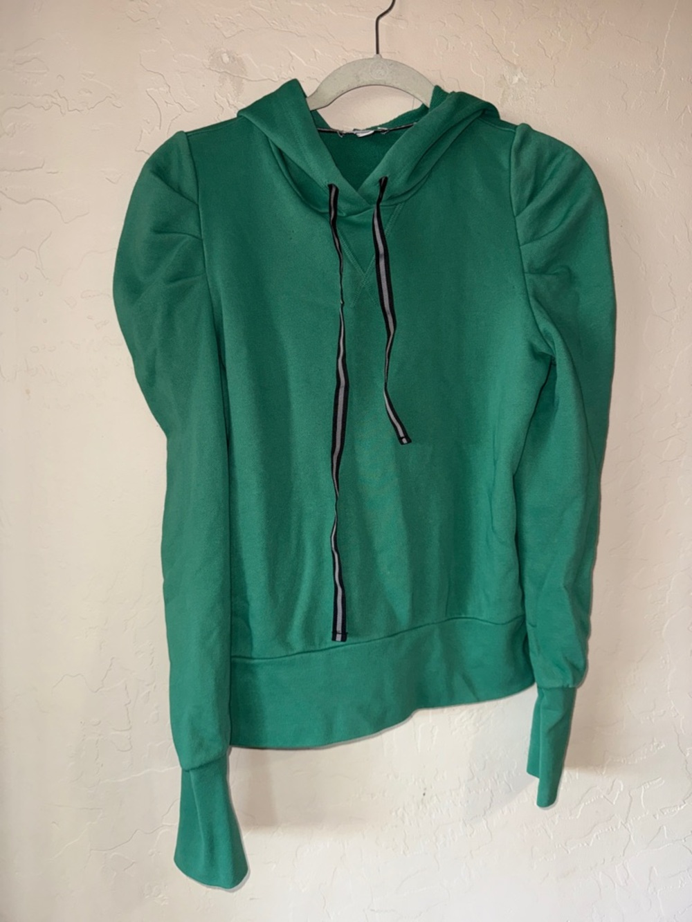 Evereve Myla Pleated Hoodie. Size XS
